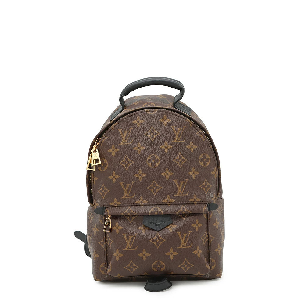 Louis Vuitton Monogram Palm Springs Backpack Bag